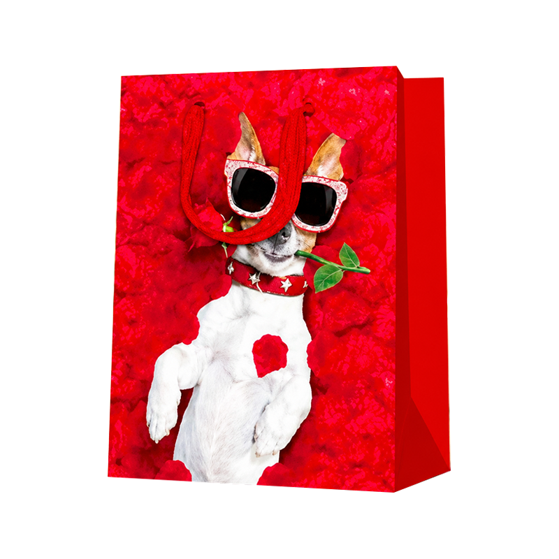 Cool Fashion Dog Vertical Gift Bags